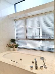 Belle Vue Residences (D9), Condominium #502715911